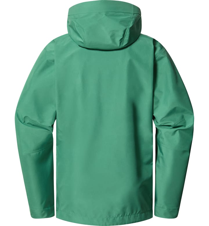 Roc GTX Jacket Men Dk Jelly Green Roc GTX Jacket Men Dk Jelly Green
