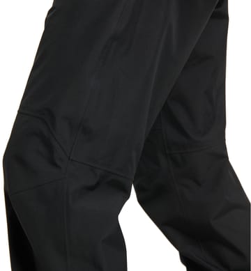 Alpine GTX Pant Men True Black