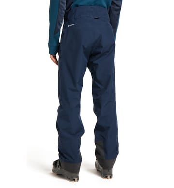 Alpine GTX Pant Men Tarn Blue