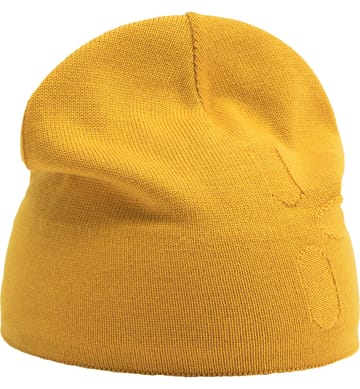 H Beanie Autumn Leaves