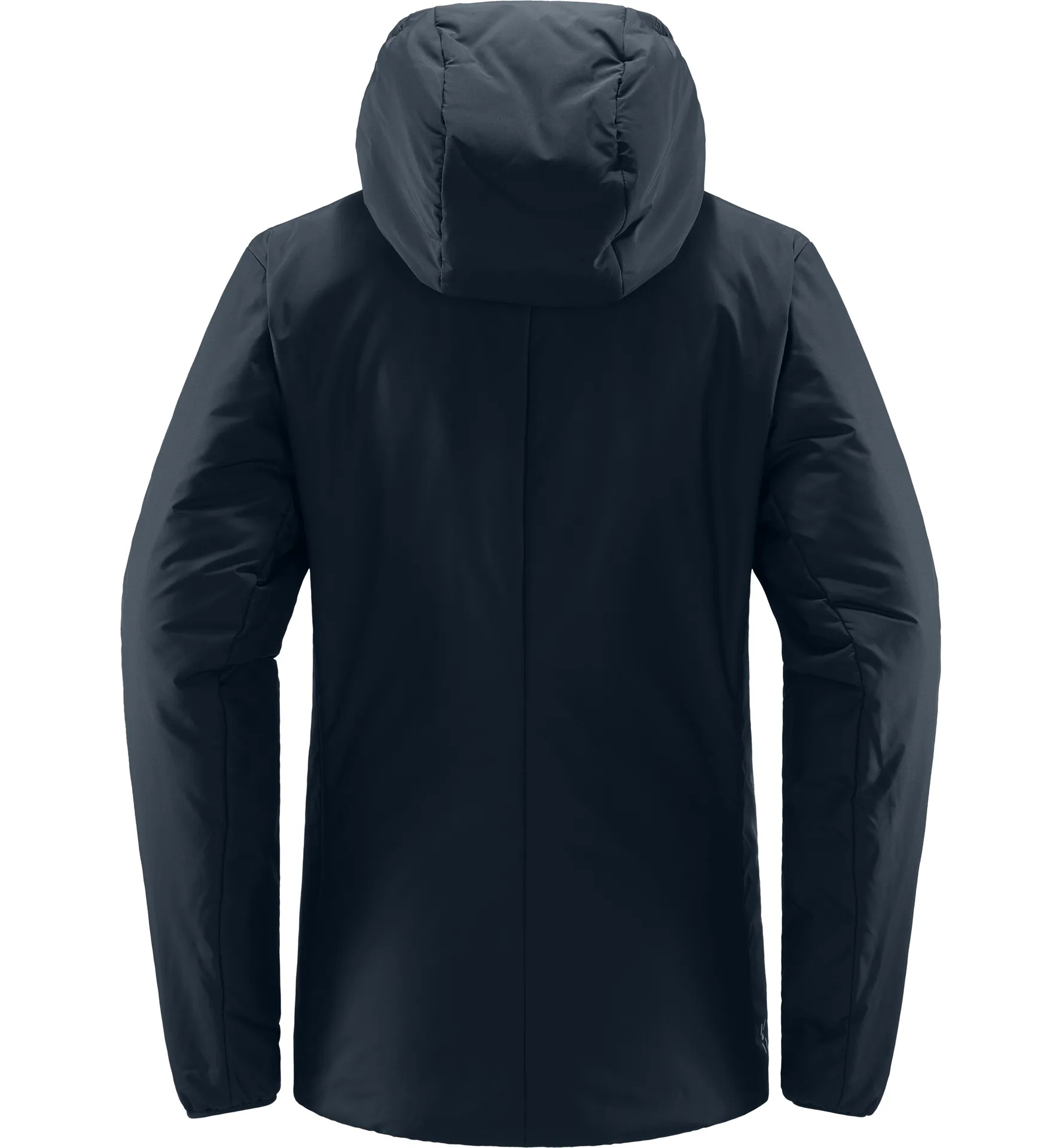 Mimic Silver Hood Women Tarn Blue