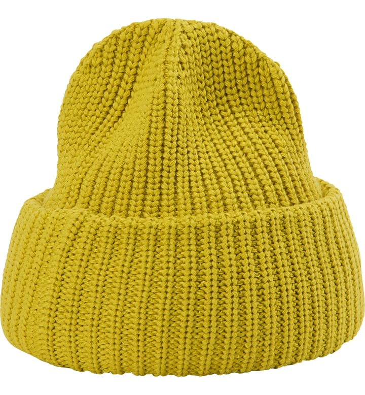 Top Out Beanie Aurora