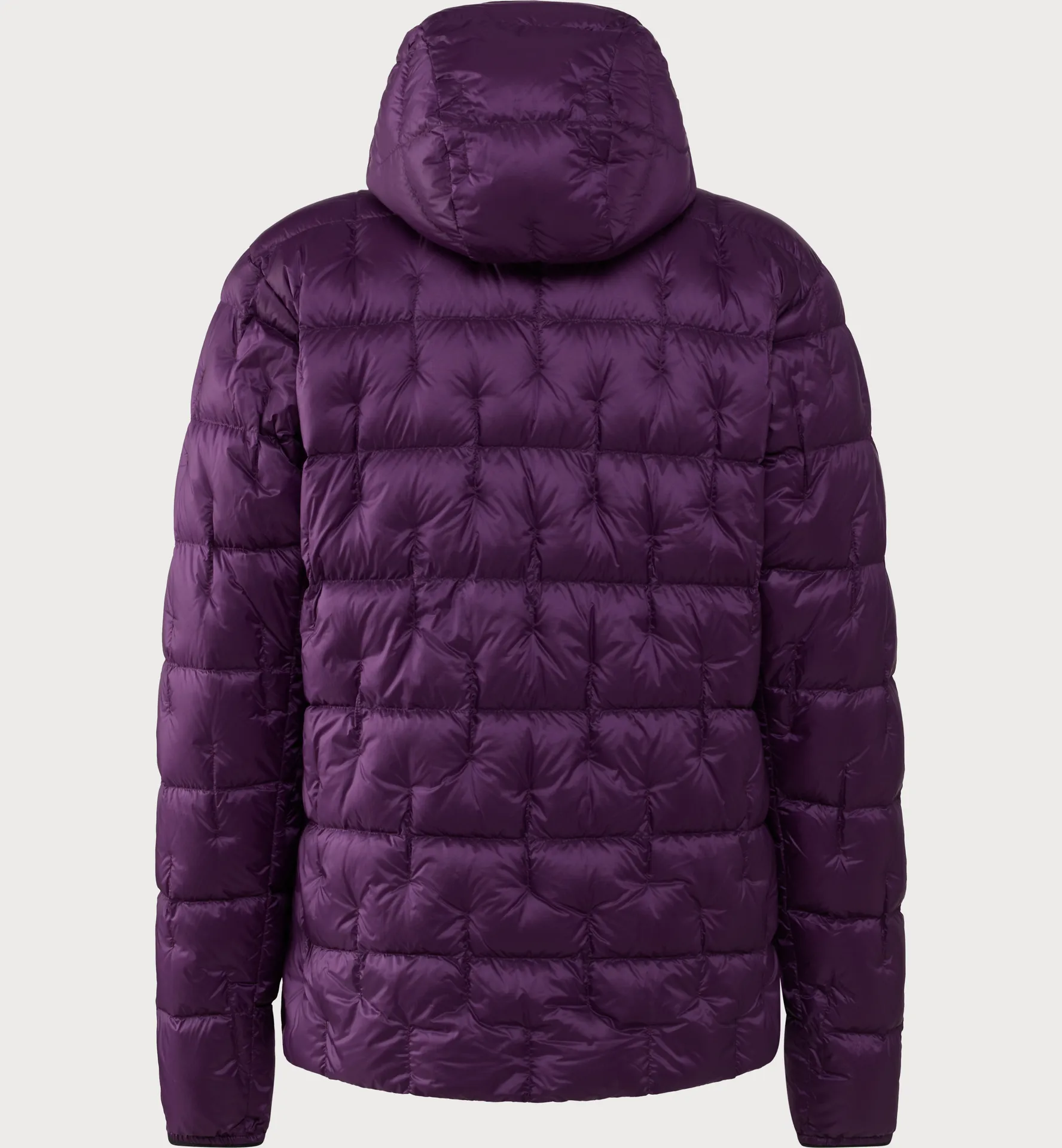 Hede Down Hood Men Purple Night