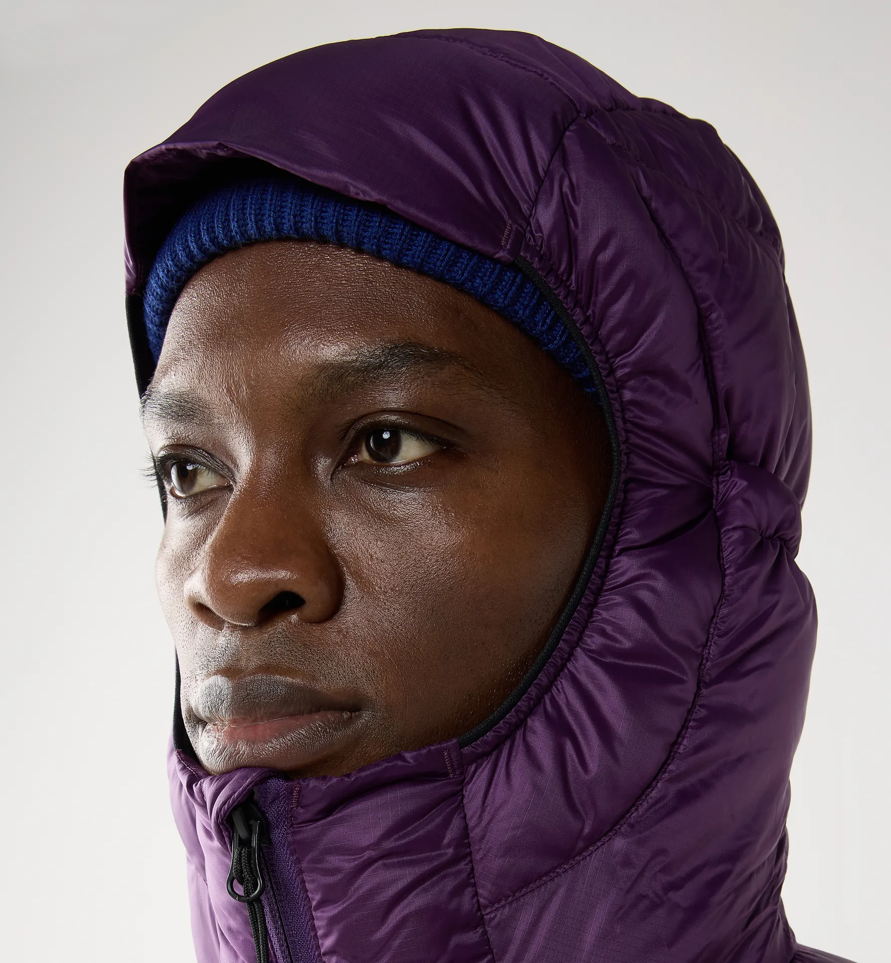 Hede Down Hood Men Purple Night