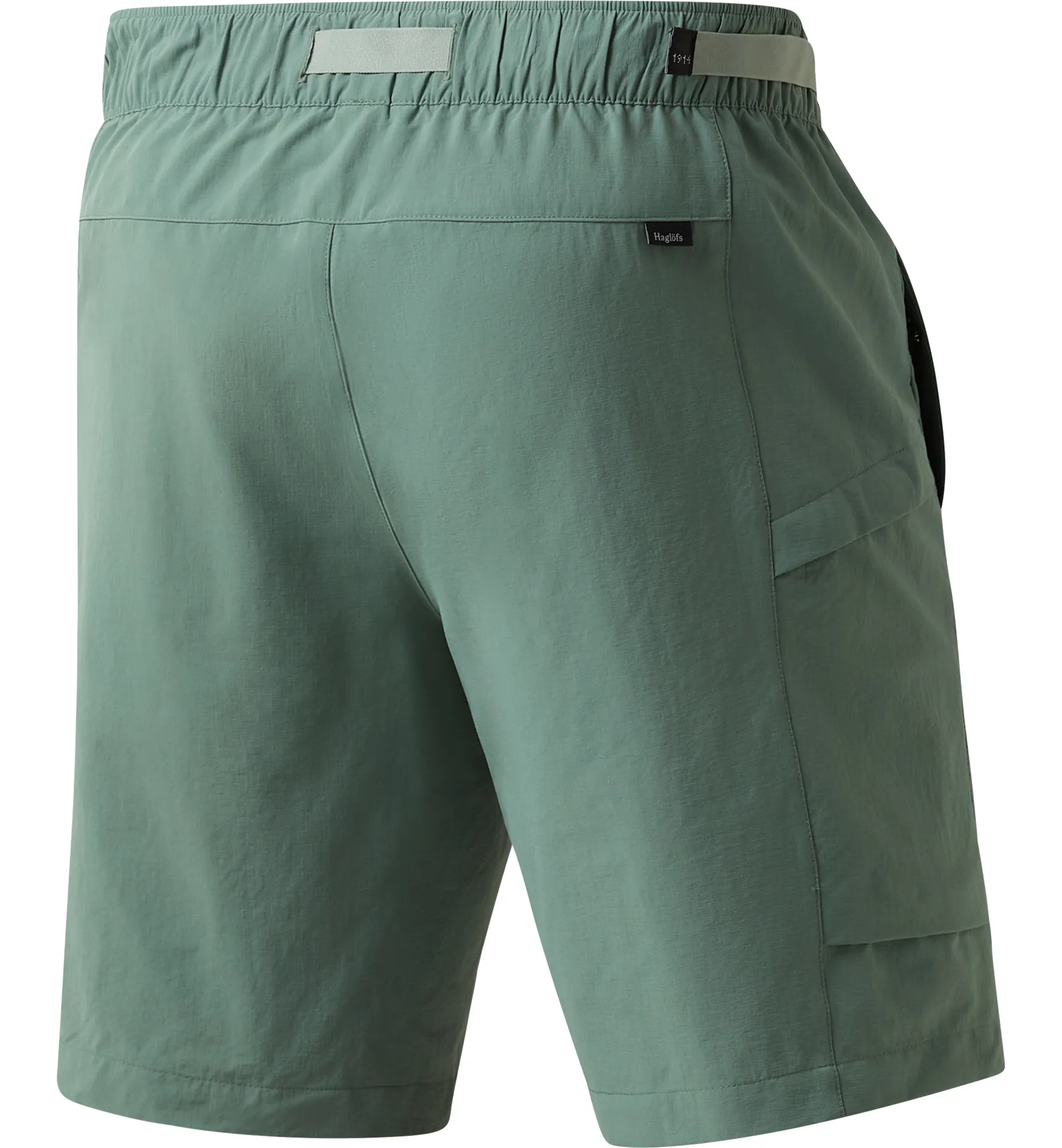 Hede Shorts Men Chlorophyll Green
