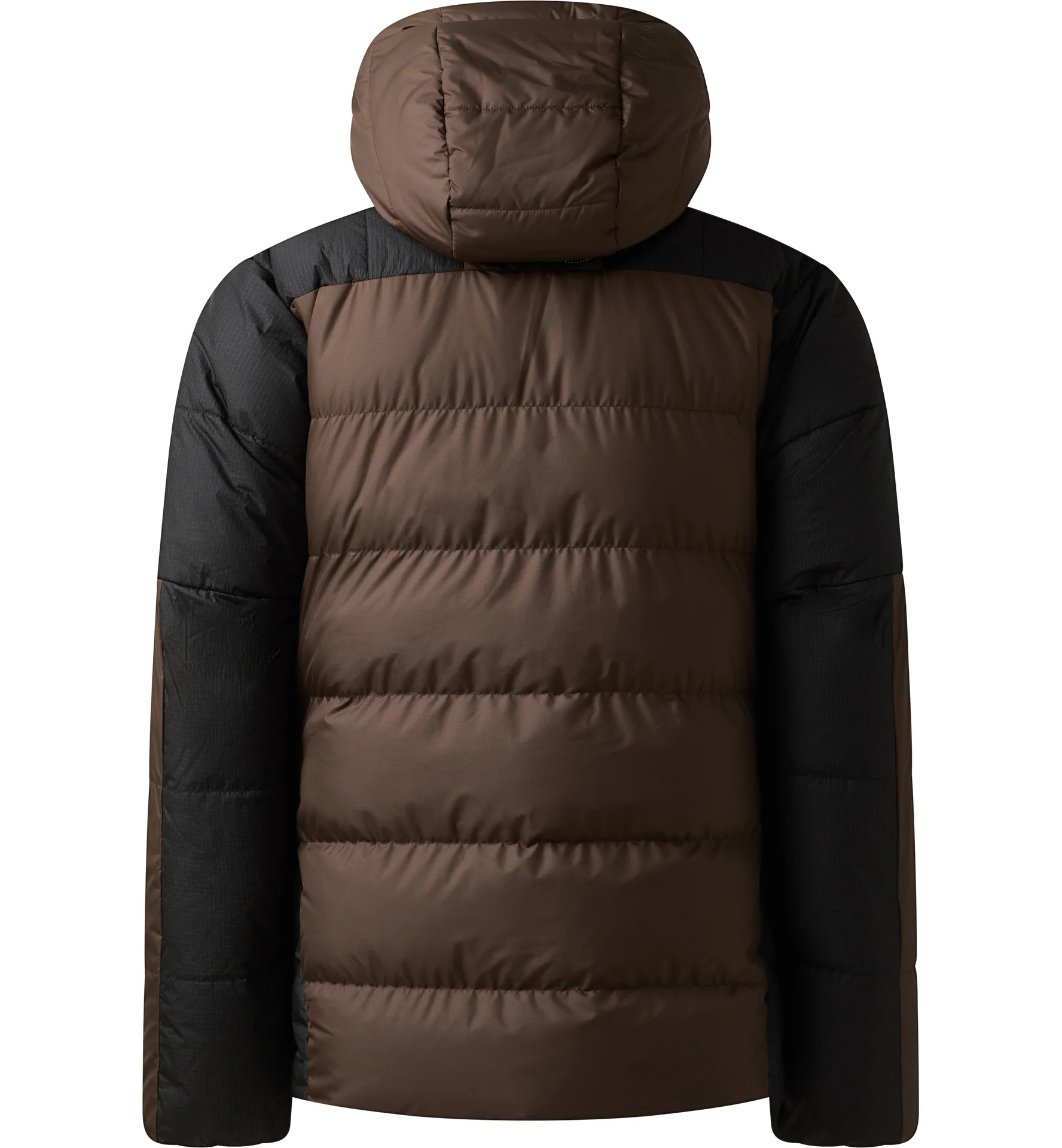 Riksgränsen Down 850 II Hood Men Woodland Brown