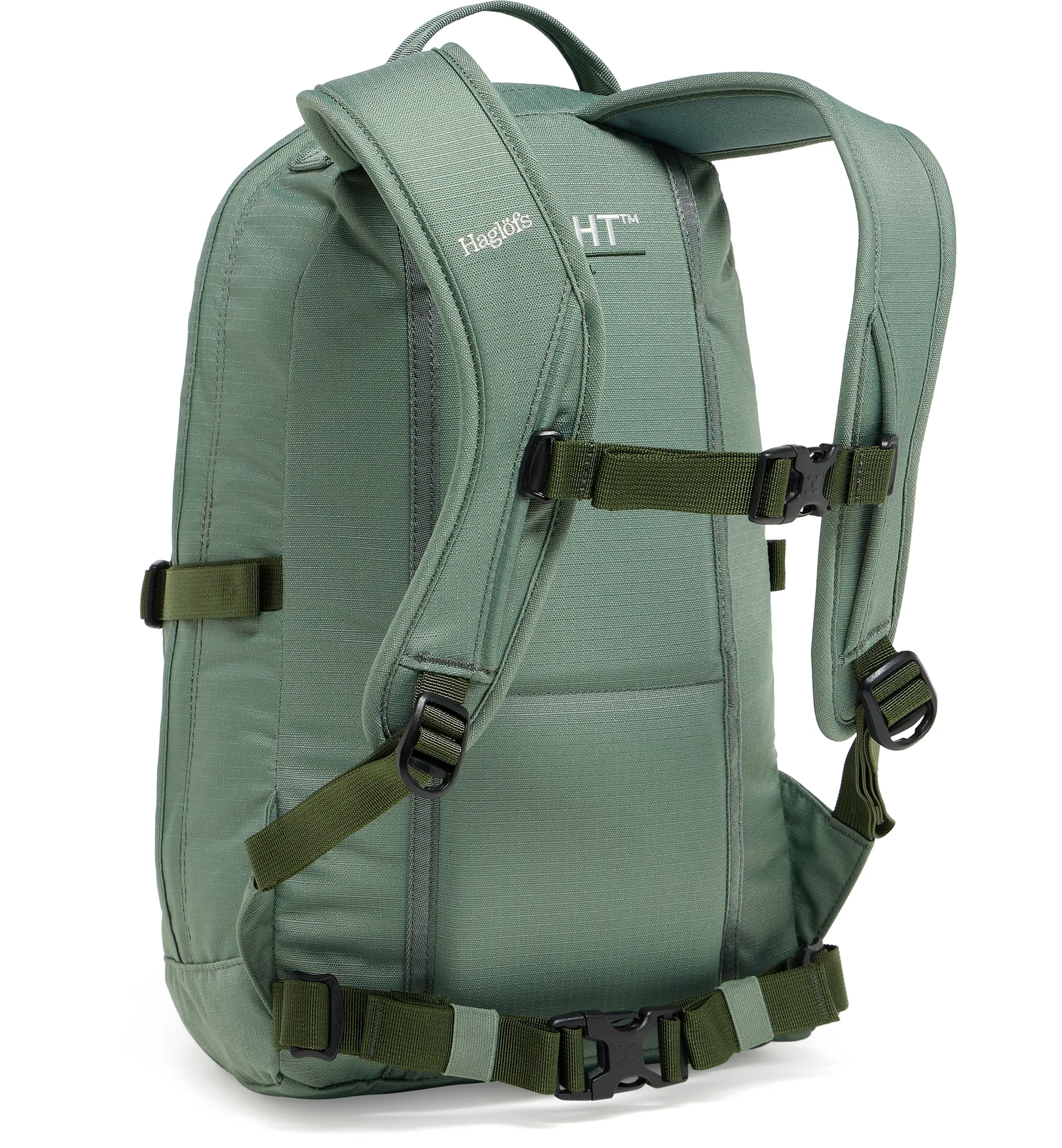 Tight Small Chlorophyll Green/Seaweed Green