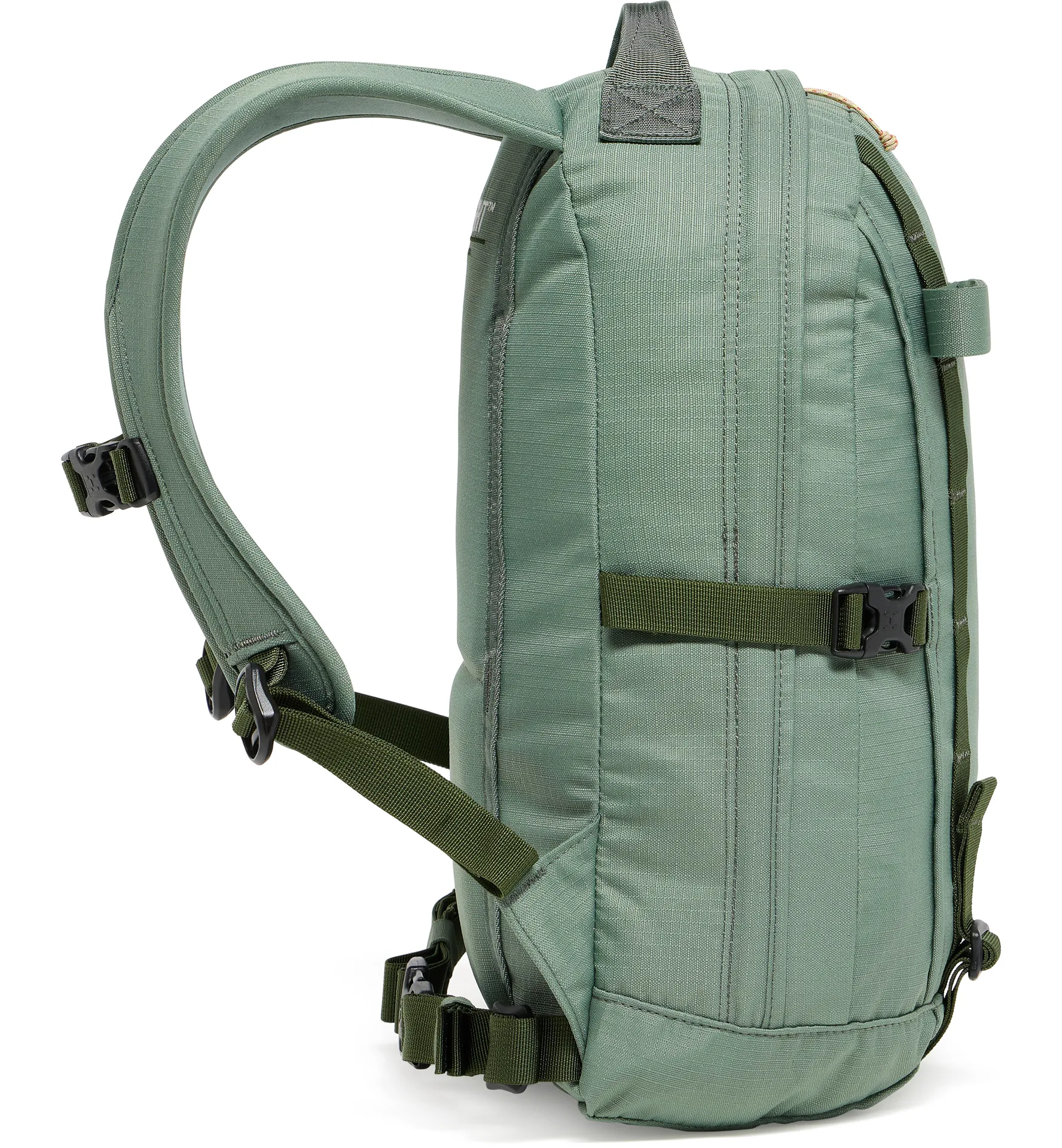 Tight Small Chlorophyll Green/Seaweed Green