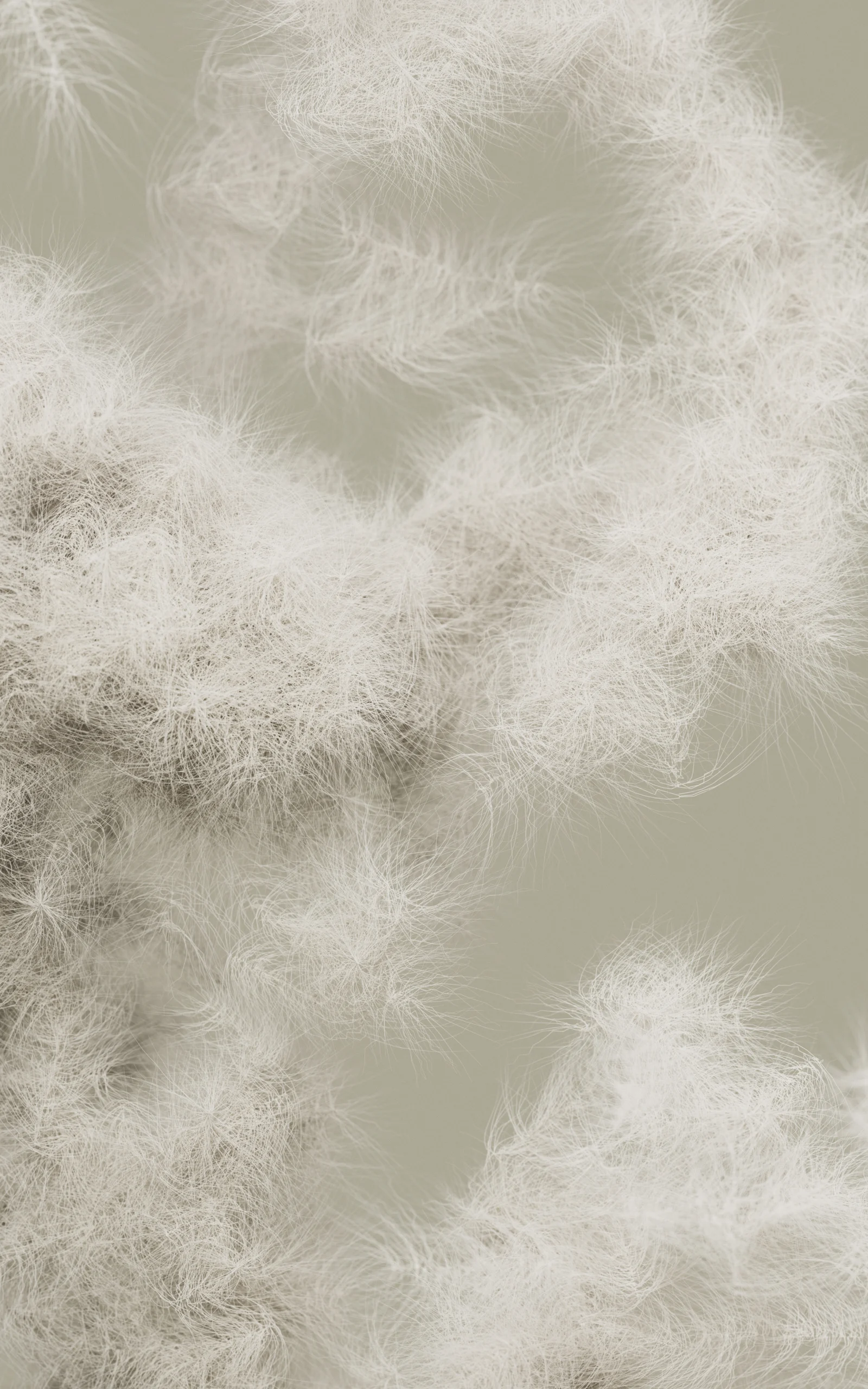 Care and repair Sleeping bag H-down