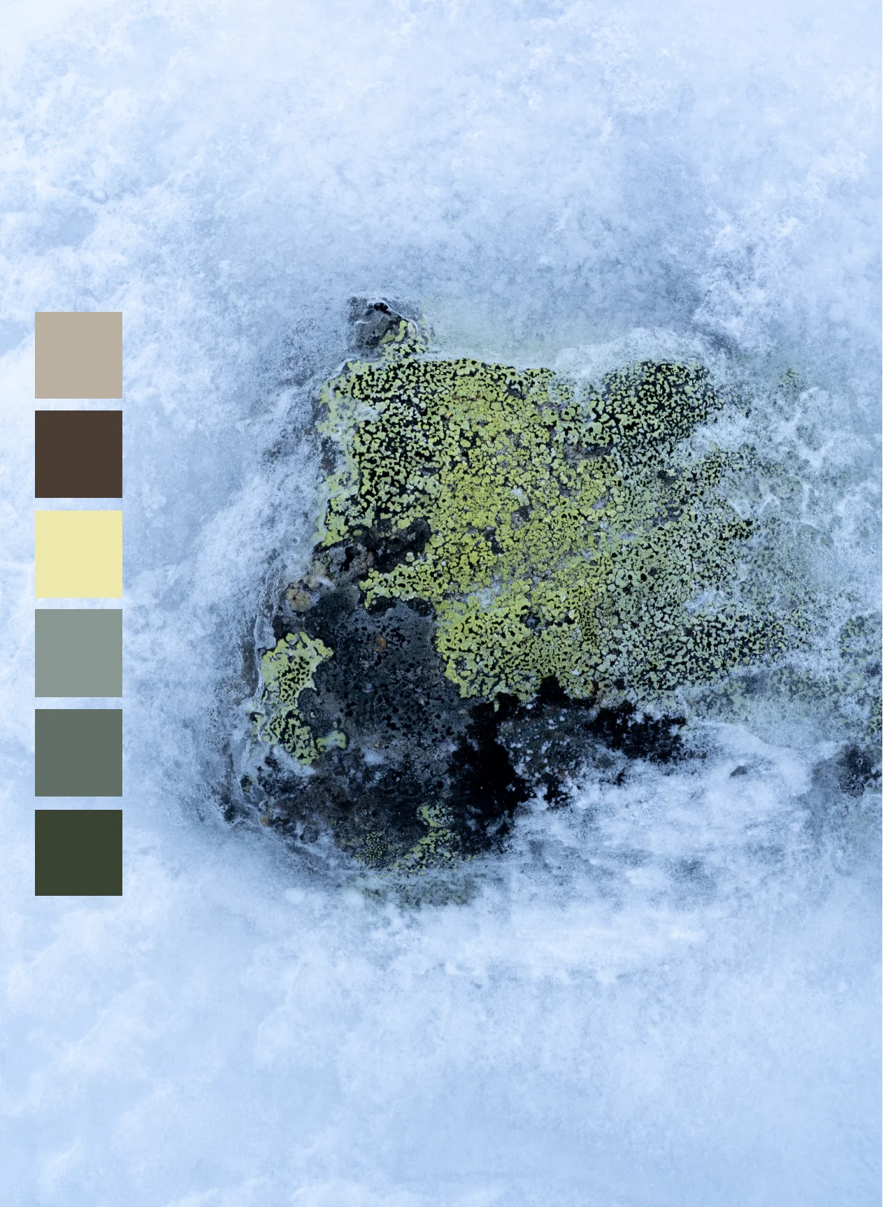 Haglöfs Color story | Fall/Winter 2026 Chlorophyll
