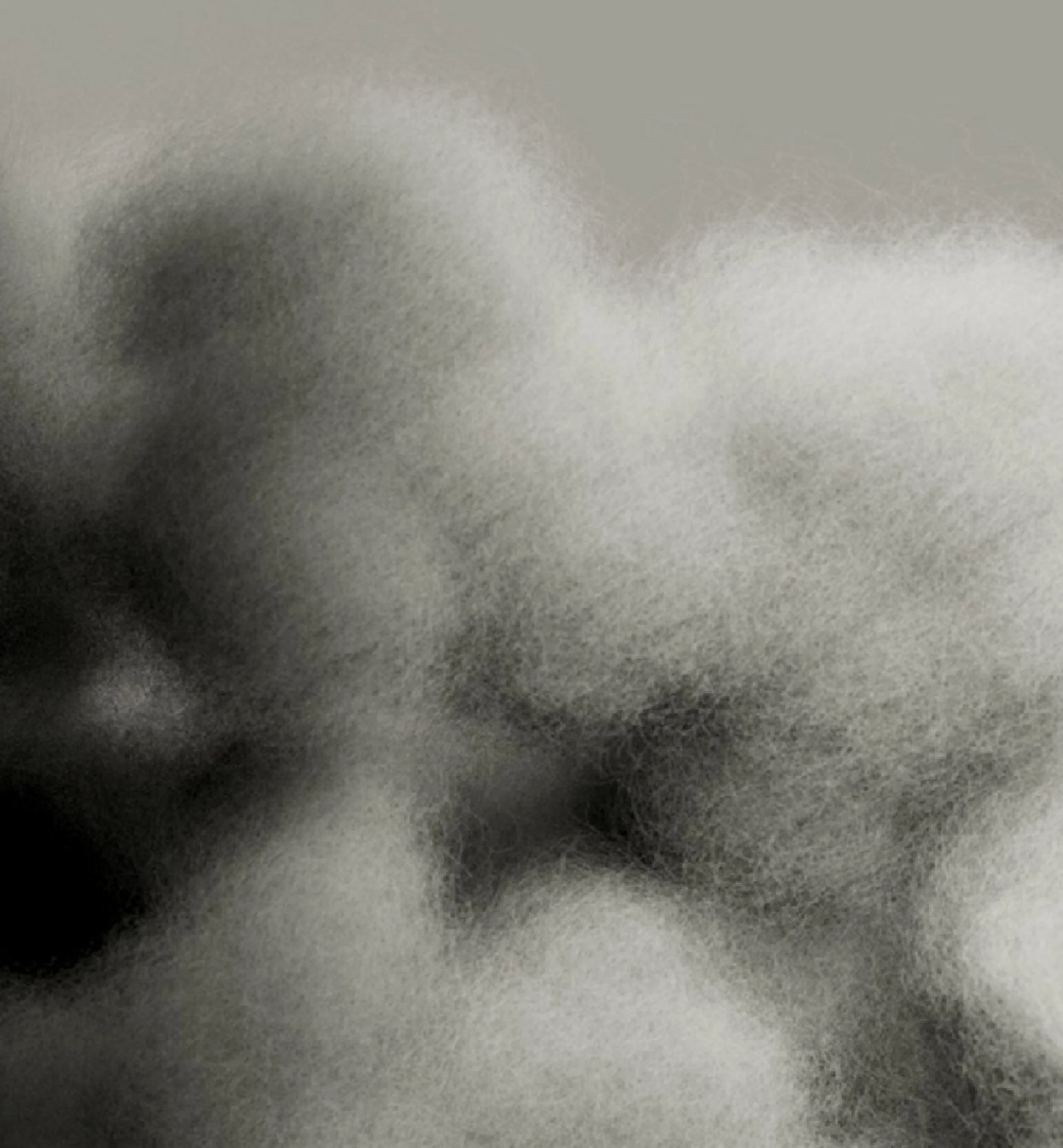 Detaild image of our Mimic down