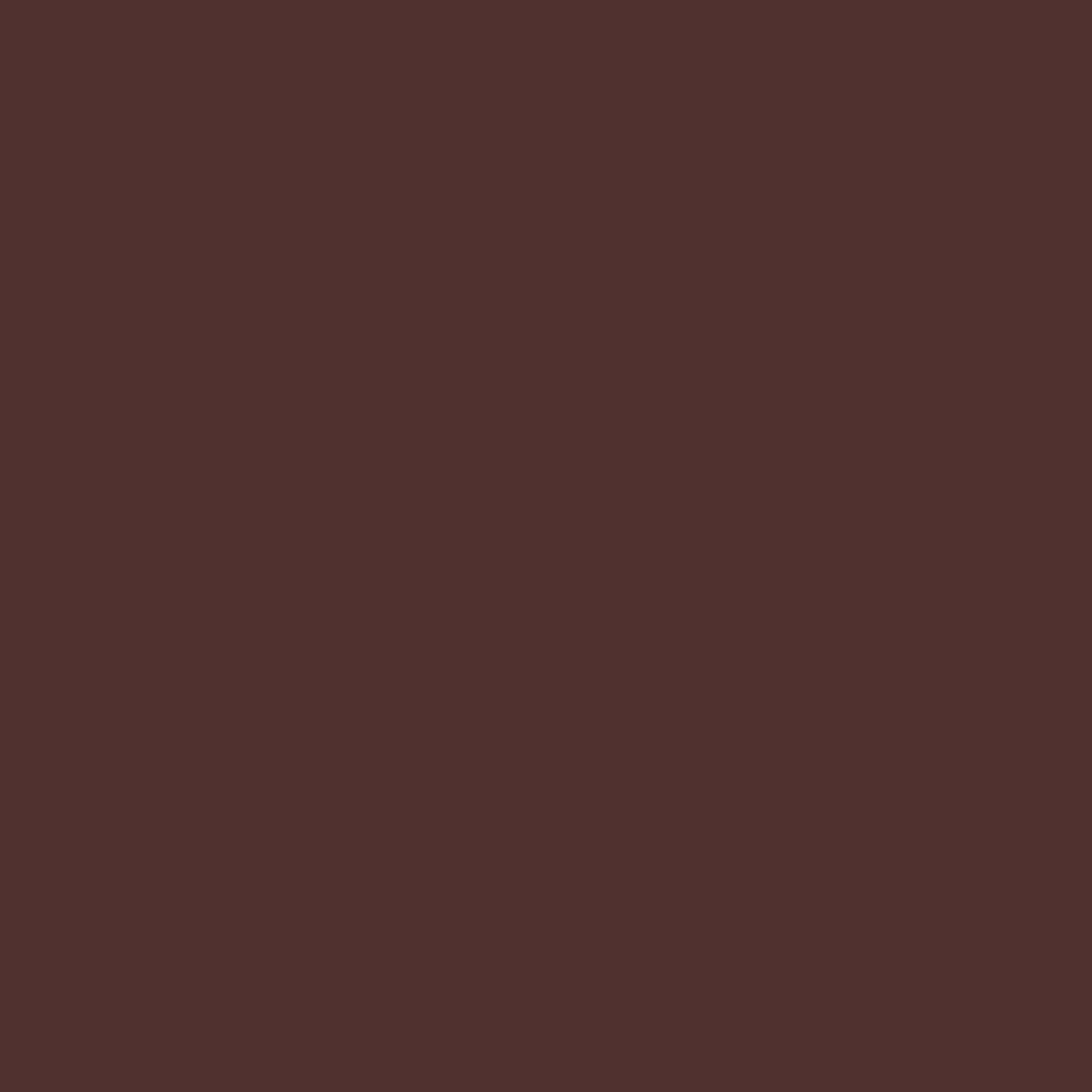 FW26 Color story | Fall/winter 2026 Tembeling earth Maroon trail