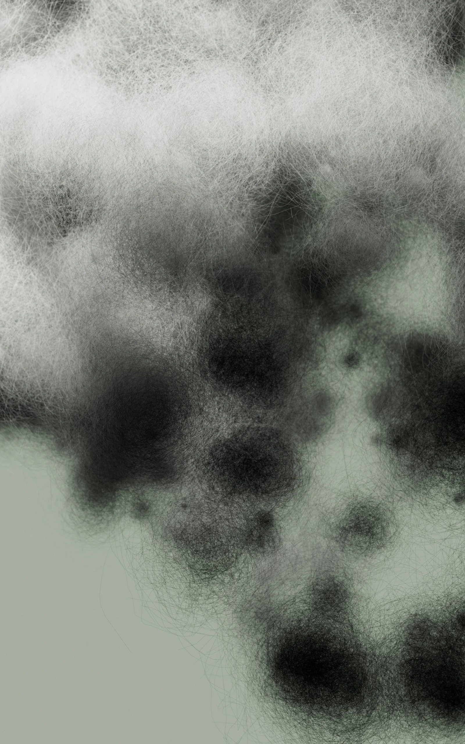 Care and repair Sleeping bag Synthetic Mimic