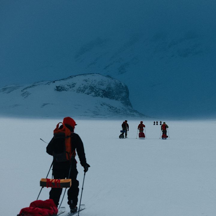 winter, skitoring