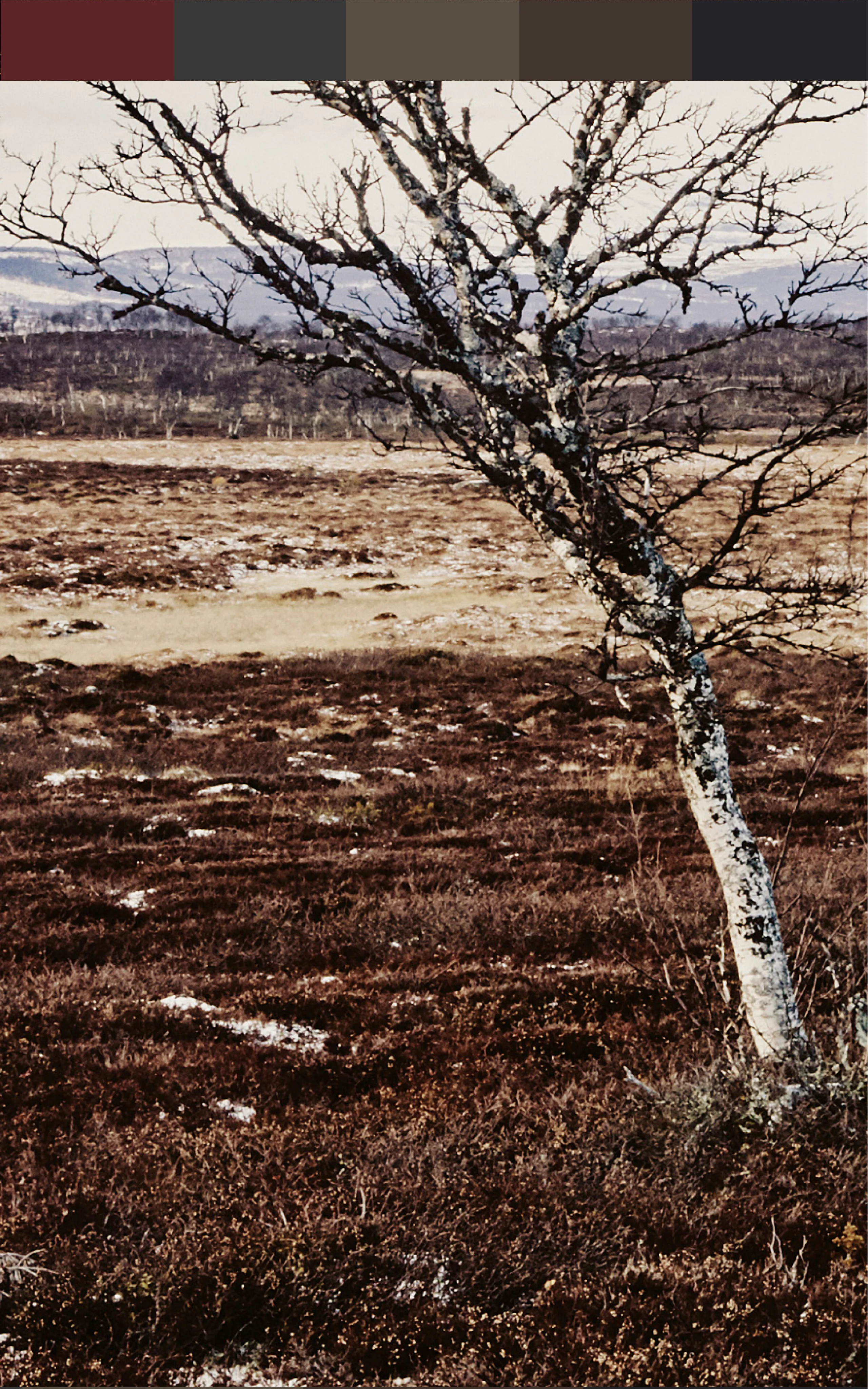 Haglöfs FW25 Color story Autumn in Lapland