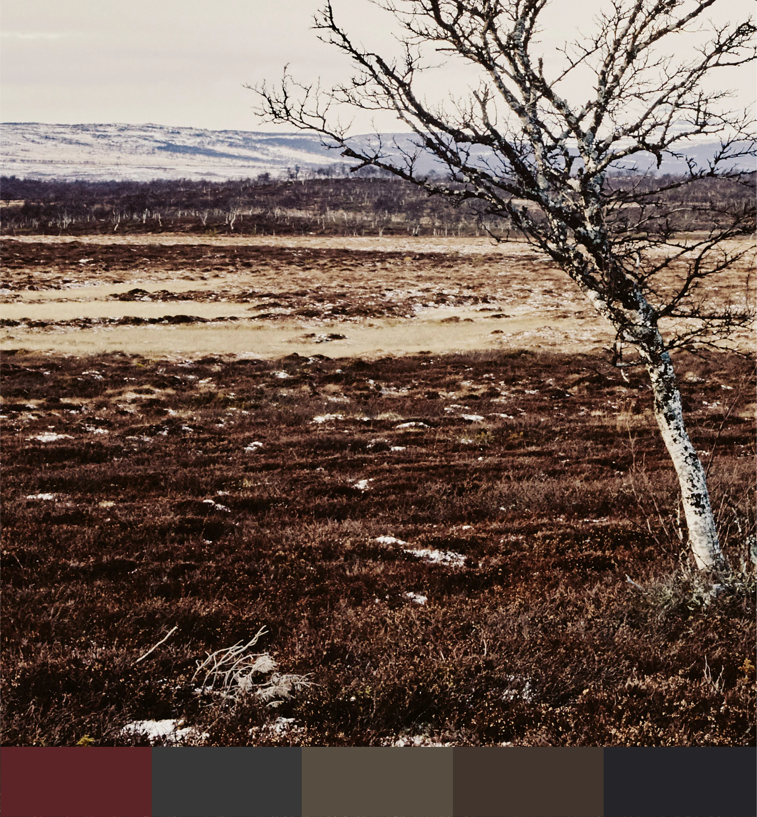 Autumn in  Lapland