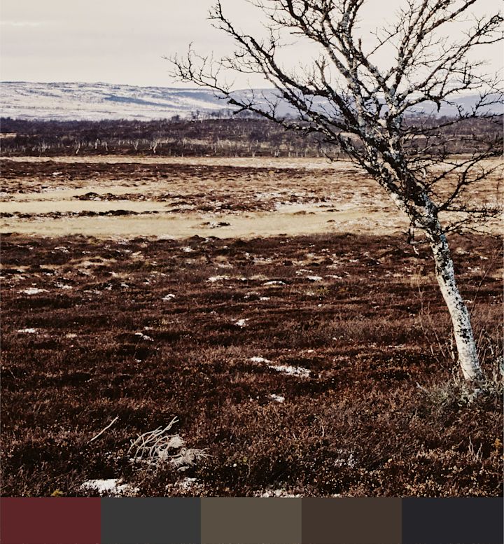 Autumn in
Lapland