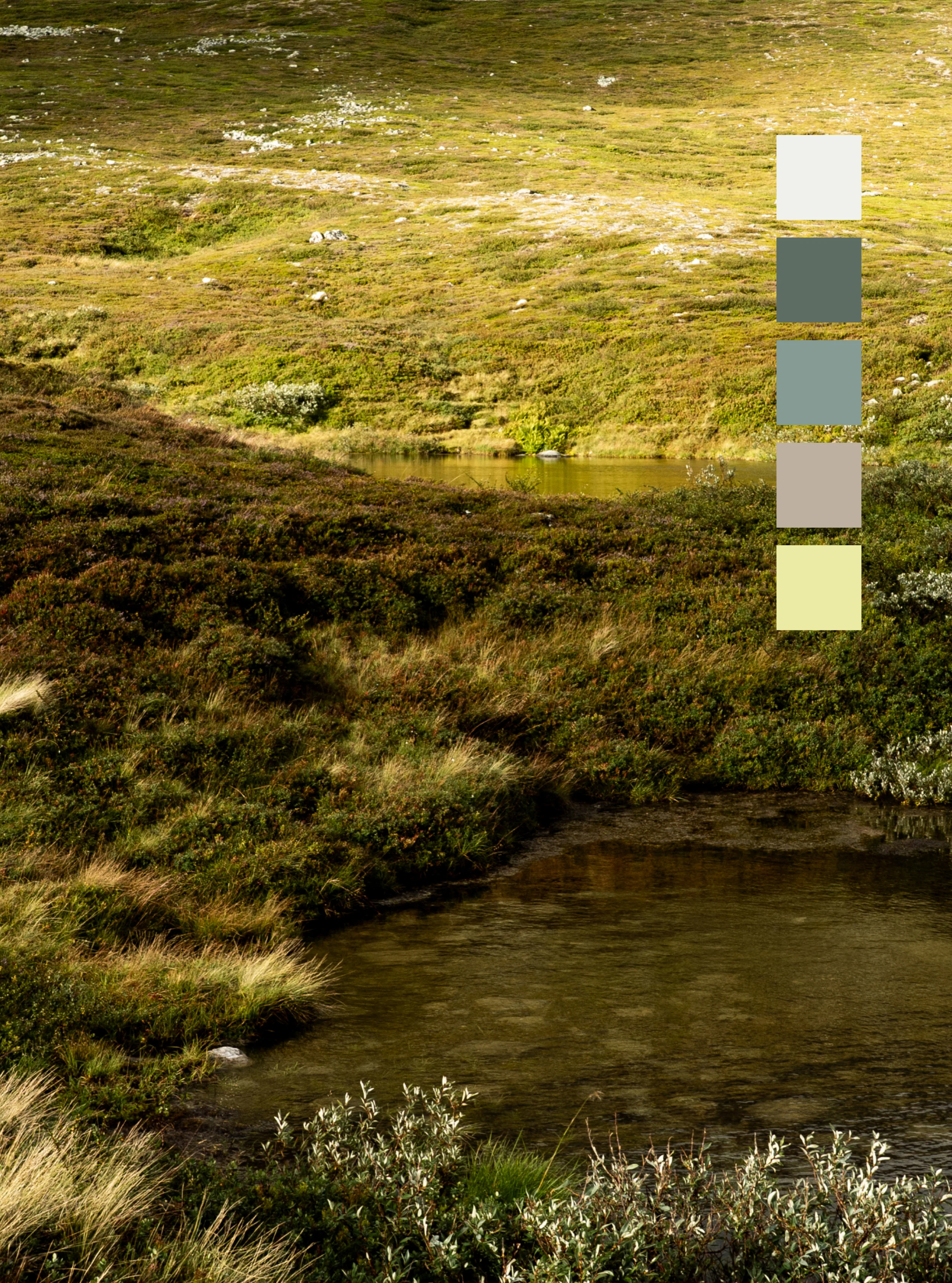 Haglöfs Color story Chlorophyll