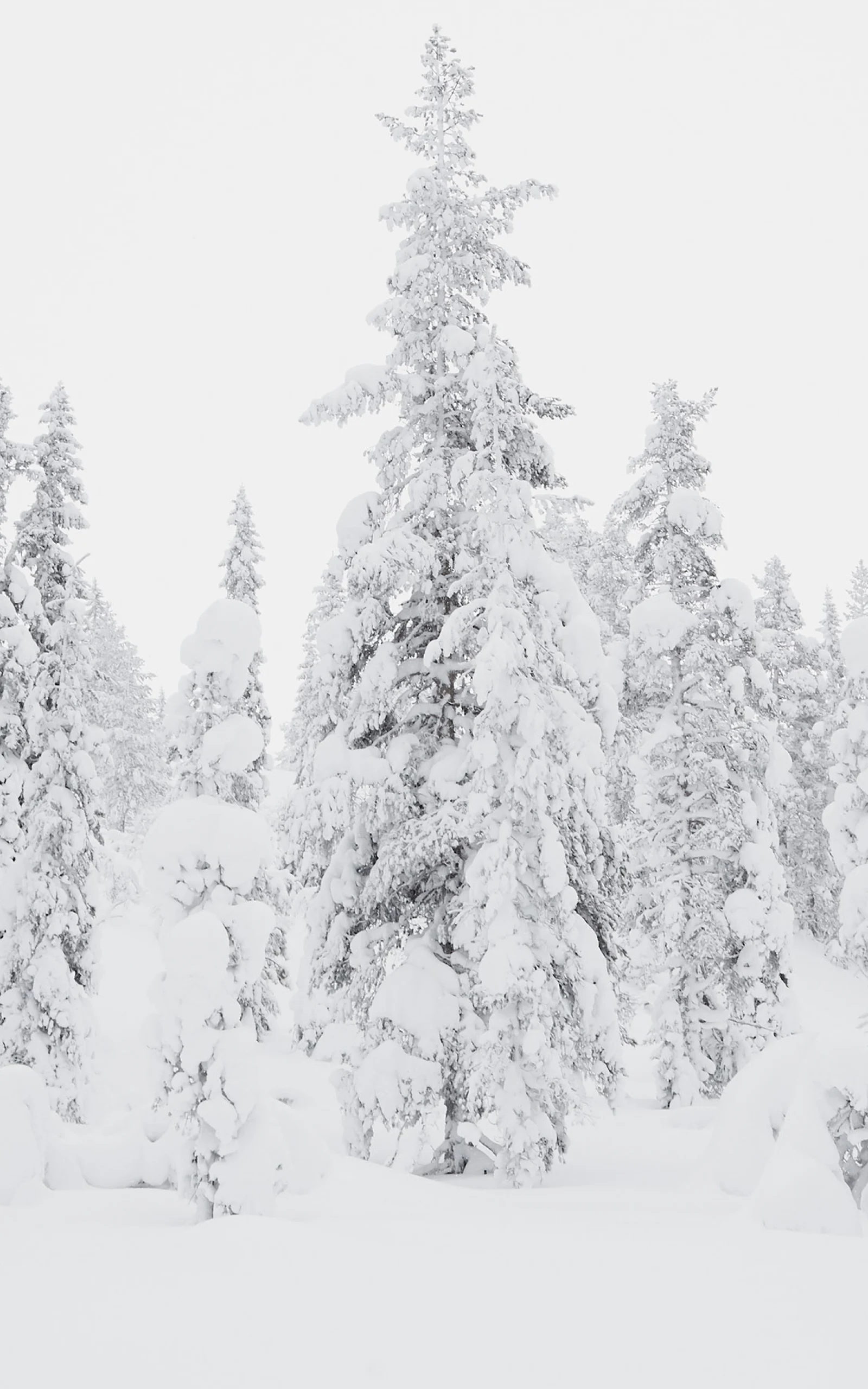 Care and repair Insulation Occasionally