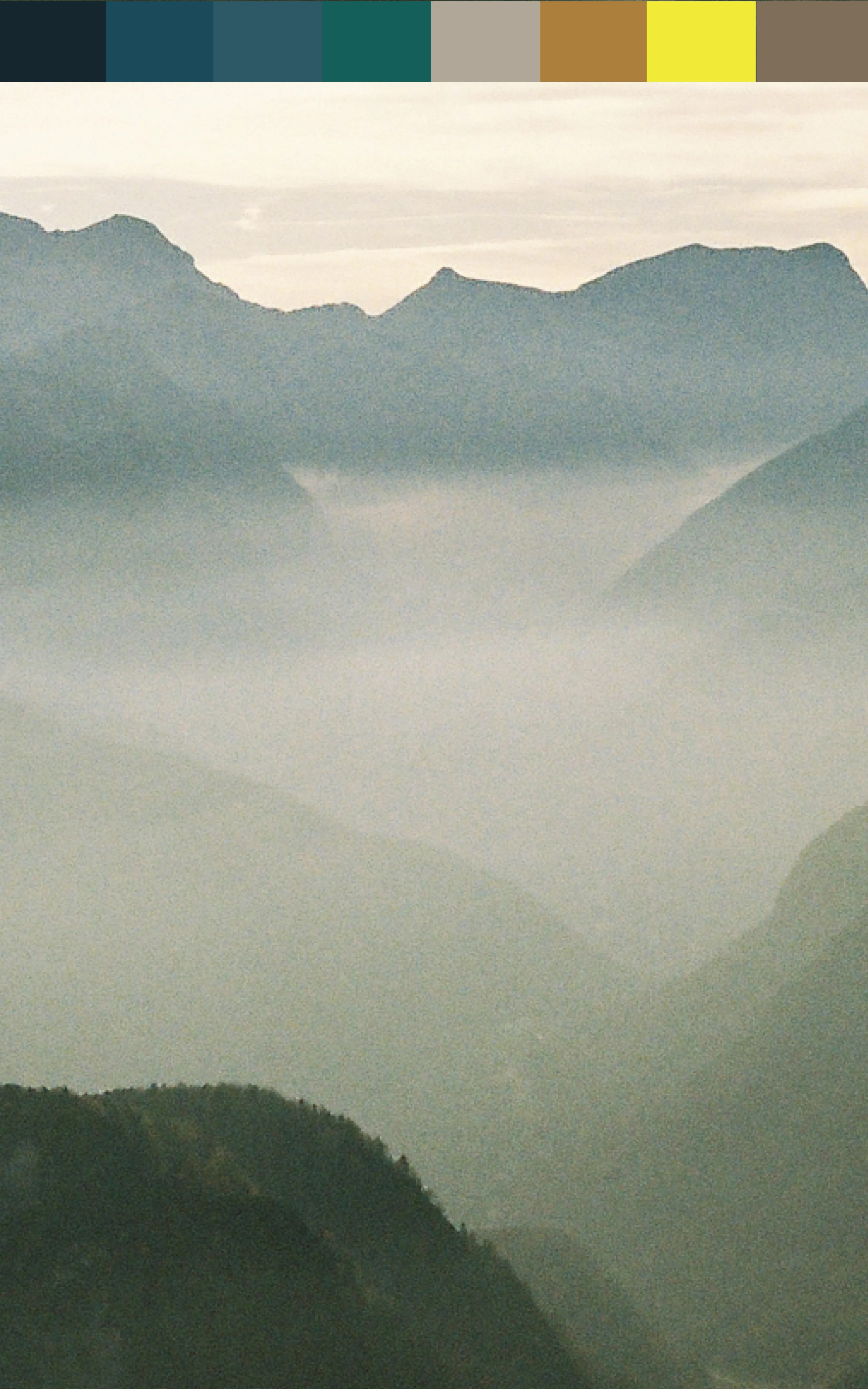 Haglöfs FW25 Color story Nordic spruce