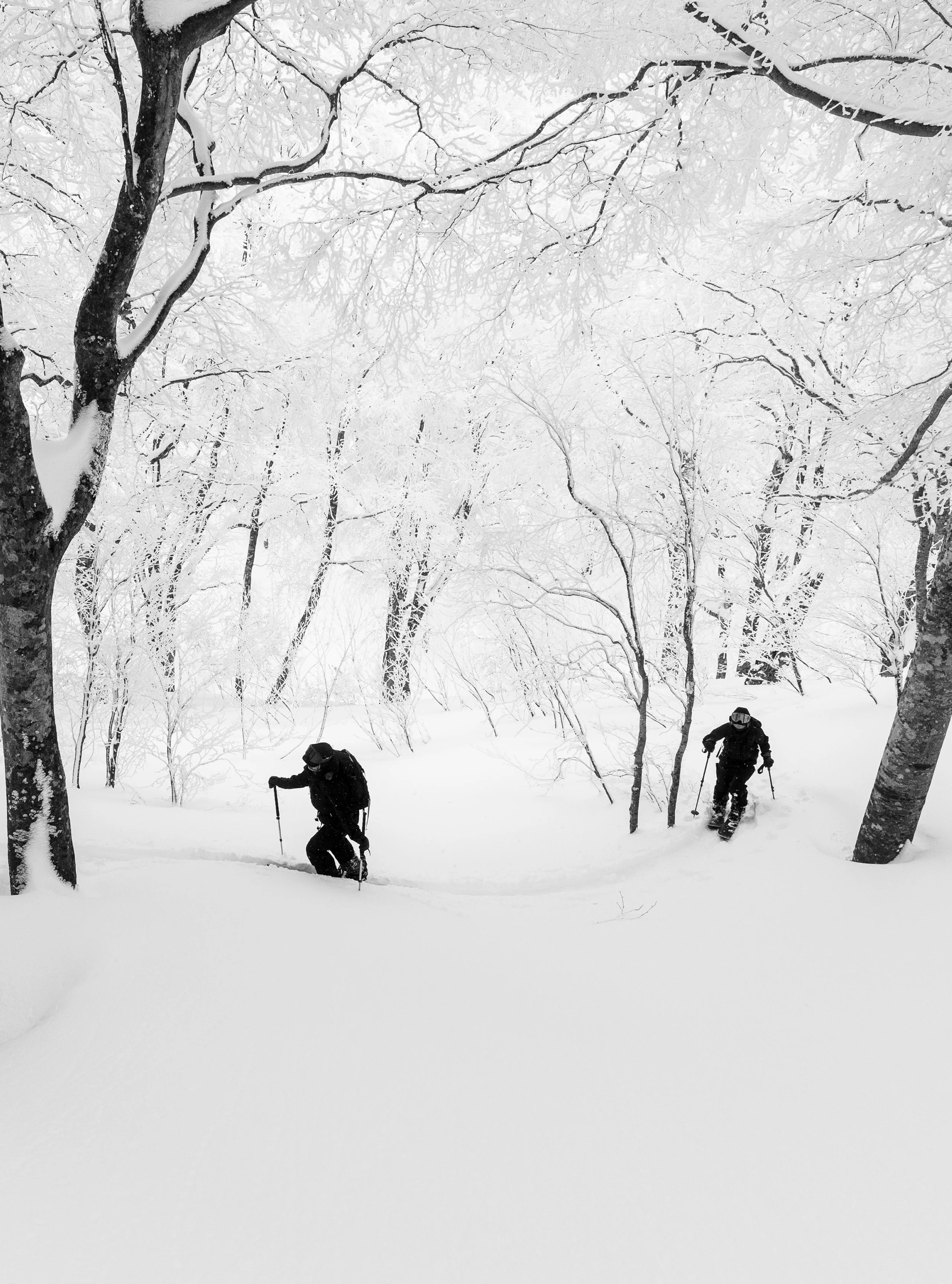 Haglöfs FW26 Film festival Outsiders by Nature 縁 (en) Sking in japan