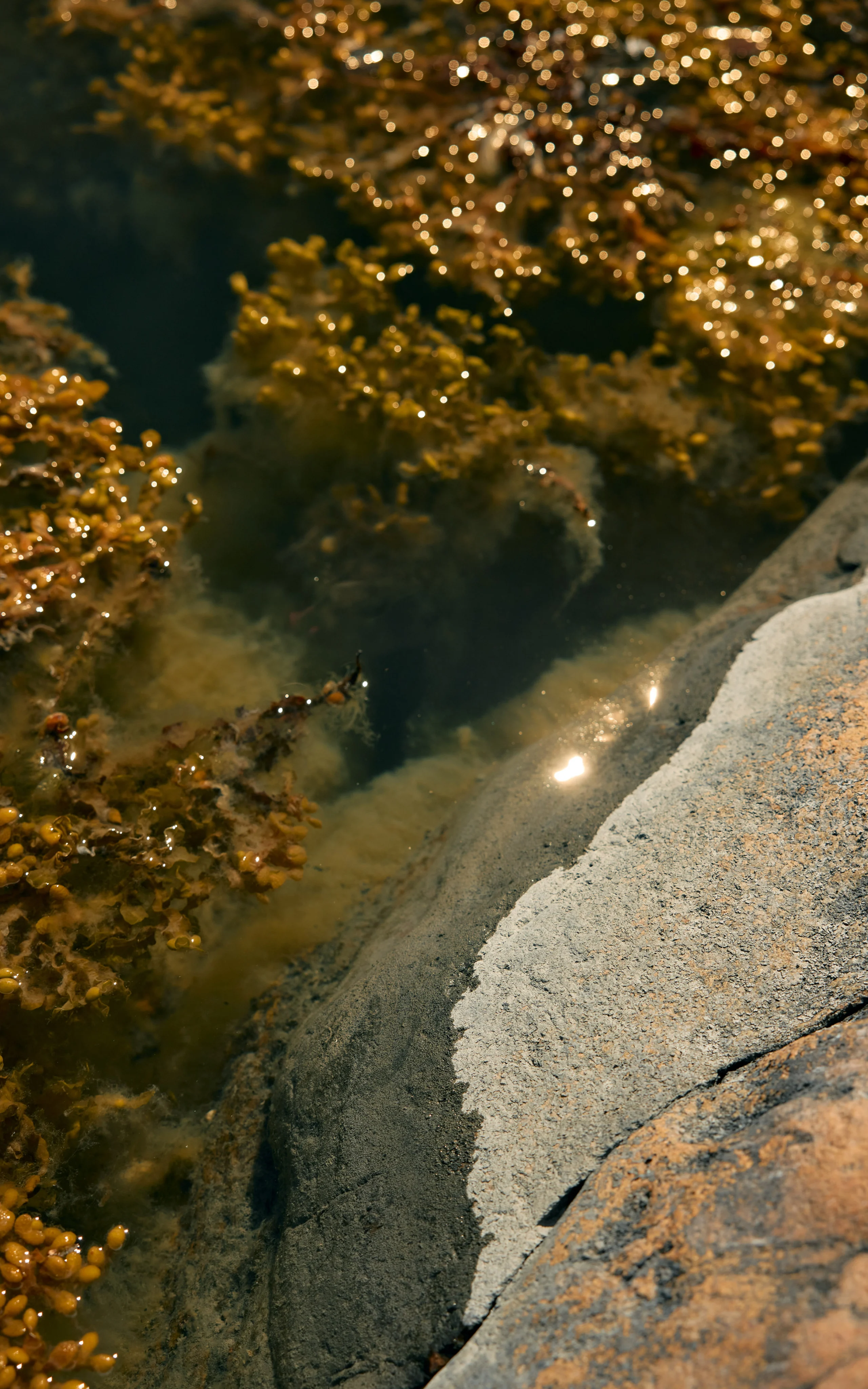 Haglöfs Summer heat | Summers to explore Sea