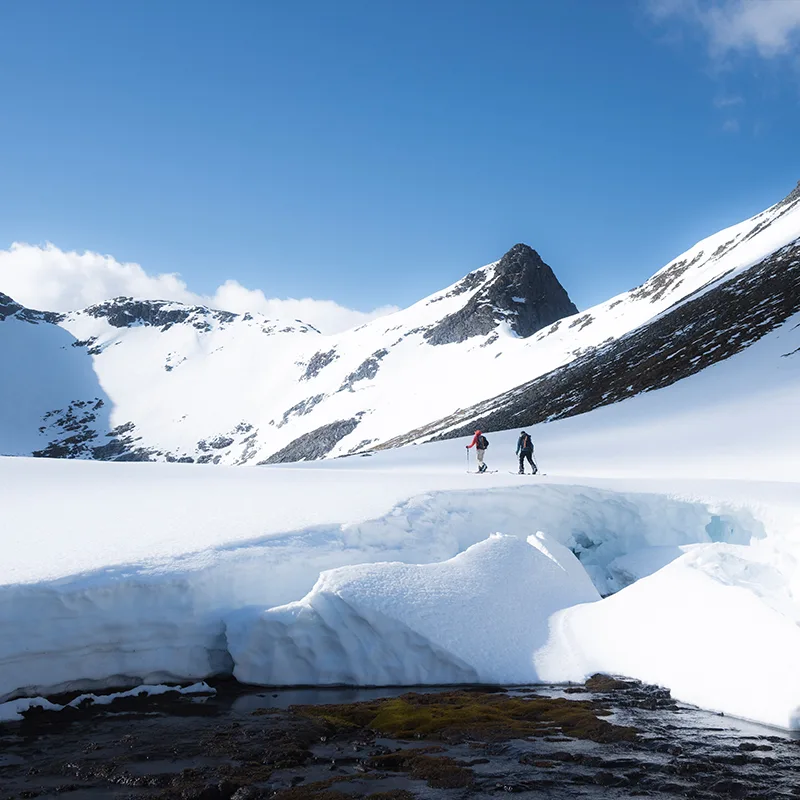 Henna Palosaari cross-country skiing