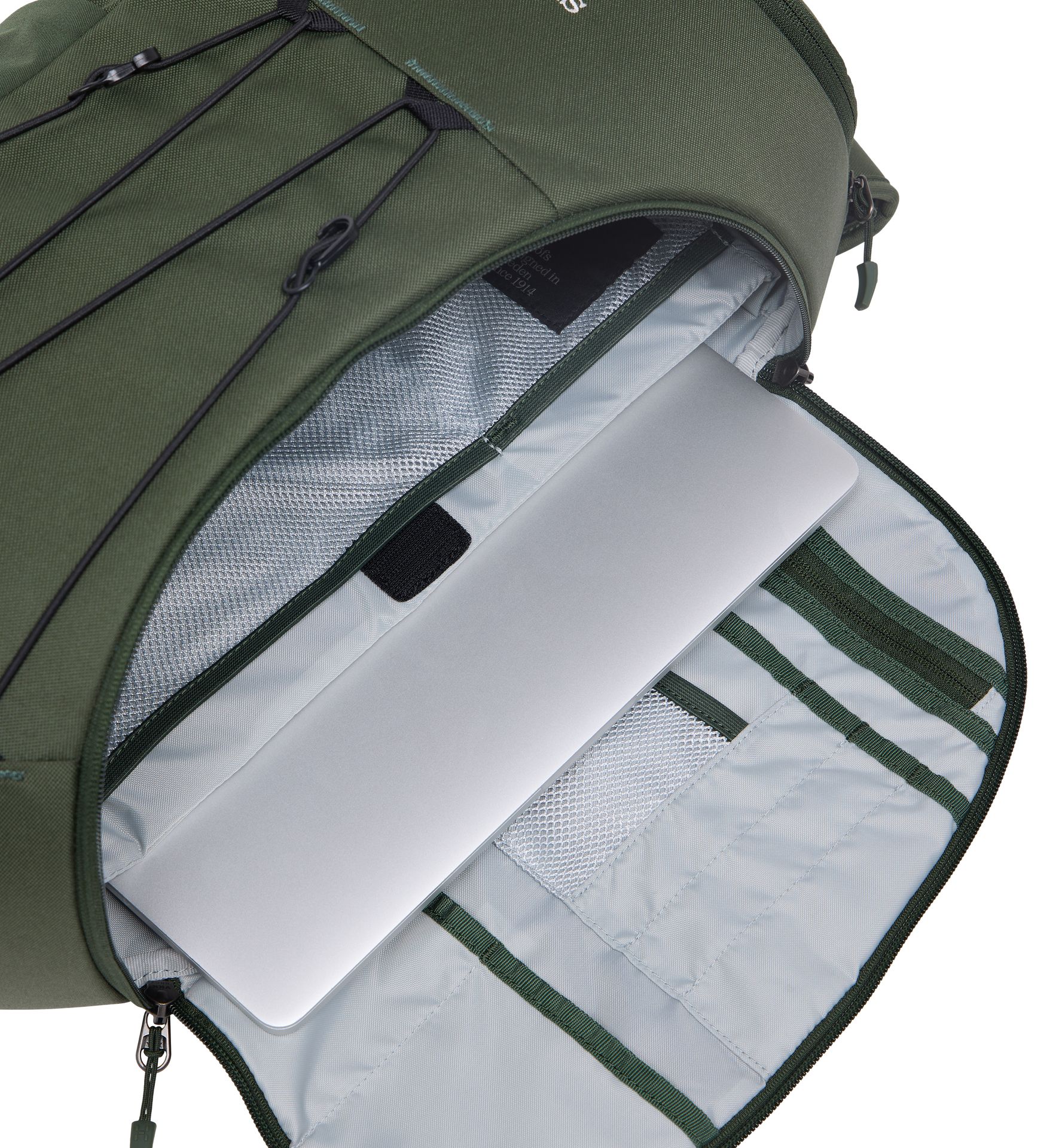 Corker Medium Seaweed Green