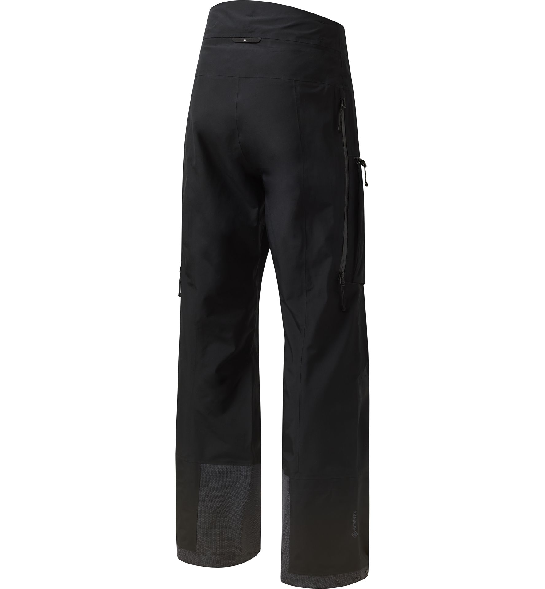Vassi GTX II Pant Men True Black